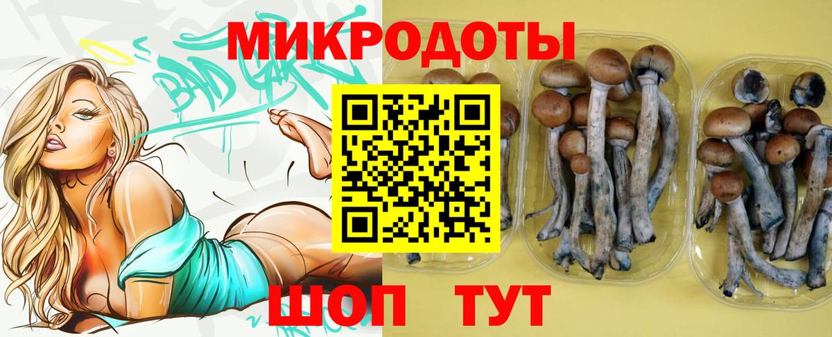 Псилоцибиновые грибы GOLDEN TEACHER Жигулёвск